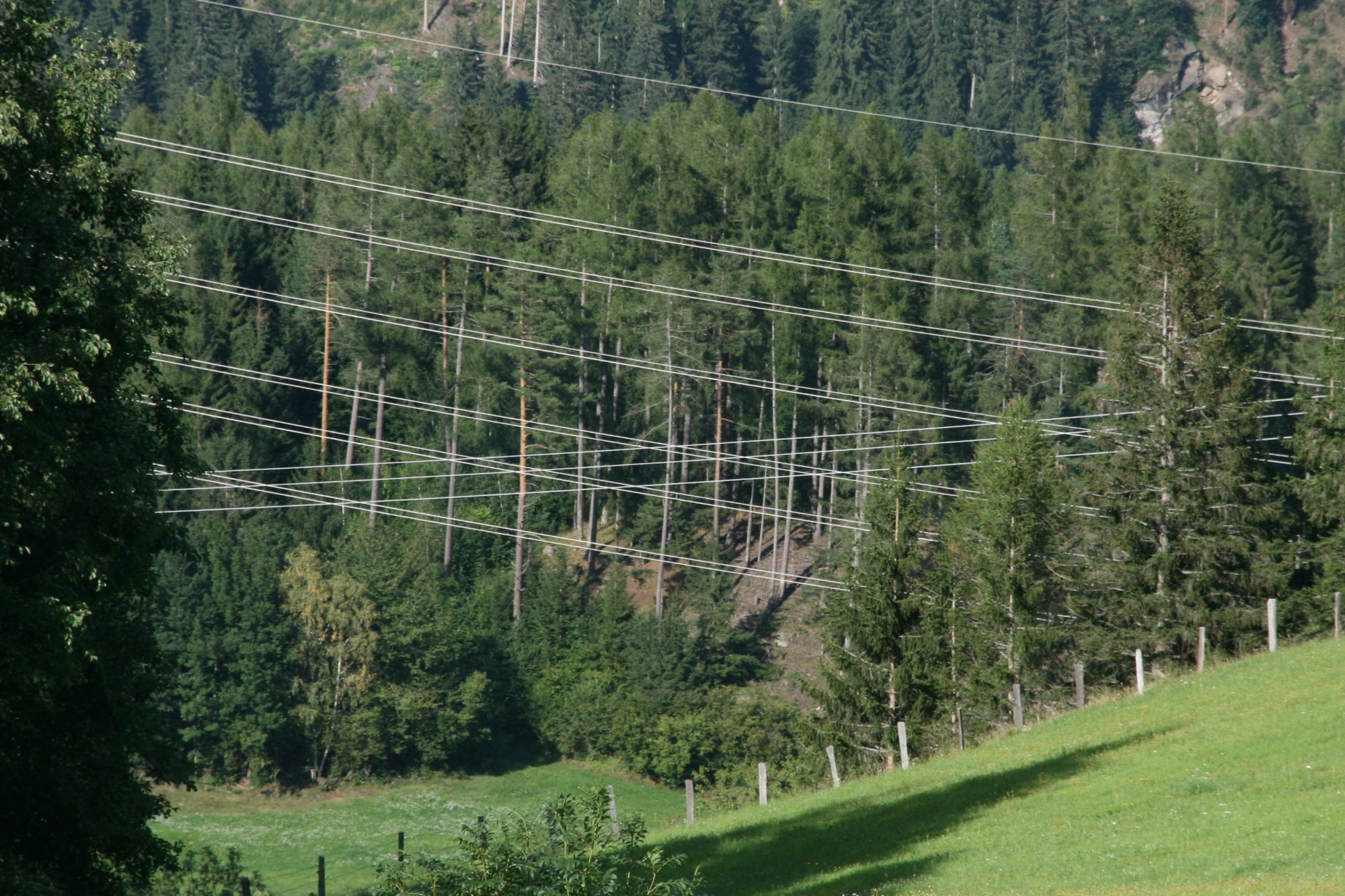 Hochspannungsleitungen im Waldgebiet